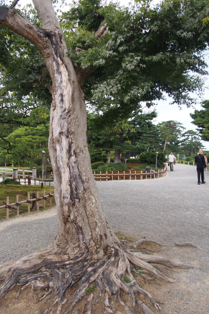PA022066.jpg